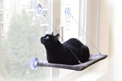 Dripio Katzenhängematte mit Saugnäpfen Grau 37x47 cm für Katzen bis 20 kg – Bild 1 von 1
