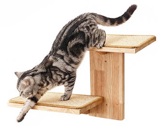 Dripio Katzenkletterwand mit Kratzmatte aus Agavenmatte und Hängematte, 2 Stufen – Bild 1 von 1