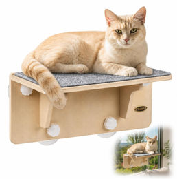 Dripio Katzenliegeplatz 2-in-1 für Wand und Glas mit Filzunterlage bis 18 kg – Bild 1 von 1