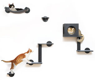 Dripio Katzenwand-Set aus Holz mit Hängematte 5-teilig schwarz – Bild 1 von 1