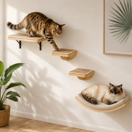 Dripio Katzenwandmöbel-Set 4-teilig aus Holz und Sisal in Beige mit 3 Ebenen – Bild 1 von 1