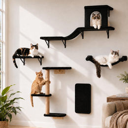 Dripio Katzenwandmöbel-Set 5-teilig mit Hängemattenbett und Kratzbaum in Schwarz – Bild 1 von 1