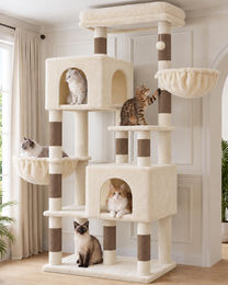Dripio Kratzbaum für Katzen in Beige mit 170 cm Höhe und Spielzeug – Bild 1 von 1