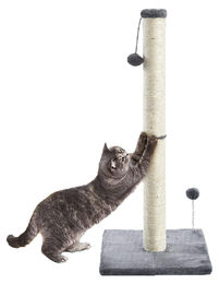 Dripio Kratzbaum für Katzen in Grau mit Sisal-Stamm und Hängeball 79 cm – Bild 1 von 1