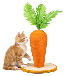 Dripio Kratzbaum Karotte mit Höhle aus Sisal in Orange 30 cm – Bild 1 von 1