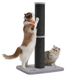 Dripio Kratzbaum mit Sisalstamm und Ball und Glocke 85 cm – Bild 1 von 1