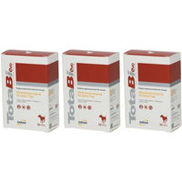 Produktbild von DRN TotaBi Vitamin B Tabletten für Hunde zur Unterstützung des Immunsystems und der Rekonvaleszenz