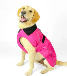 Dryrobe Hundemantel – Bild 1 von 1