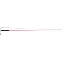 Produktbild von Dublin Brights Longierpeitsche aus Gummi in Rosa 160 cm
