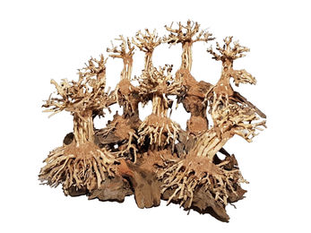 Produktbild von Dupla Aquascaping Aquarienlandschaft für Süßwasser in Braun