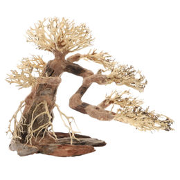 Dupla Bonsai L Wurzel Dekoration für Süßwasser Aquarien Braun – Bild 1 von 3