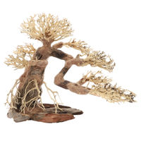 Produktbild von Dupla Bonsai L Wurzel Dekoration für Süßwasser Aquarien Braun