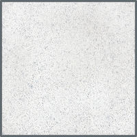 Produktbild von Dupla Ground Colour Aquarienkies Snow White Weiß für Fische 5kg - 10 kg