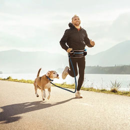Duvo+ Canicross Sportgurt mit Joggingleine aus Neopren und Nylon für Hunde Blau Schwarz – Bild 1 von 8