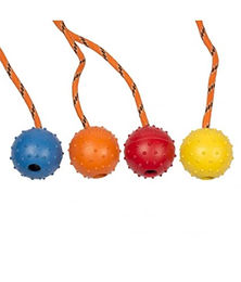 Produktbild von Duvo+ Dental Ball Hundespielzeug aus Gummi mit Seil und Noppen 33 cm bunt