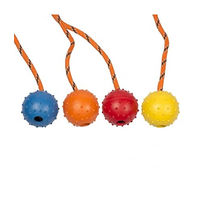 Produktbild von Duvo+ Dental Ball Hundespielzeug aus Gummi mit Seil und Noppen 33 cm bunt