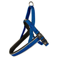 Produktbild von Duvo+ Explor East Hundegeschirr aus Nylon wasserdicht Blau Größe XL