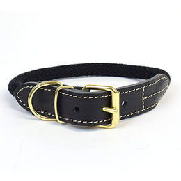 Duvo+ Explor Forest Hundehalsband aus Nylon Schwarz Größe M – Bild 1 von 3