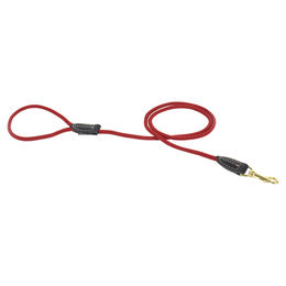 Duvo+ Explor Forest Hundeleine aus Nylon in Rot, 135 cm / 8 mm - 135 cm – Bild 1 von 3