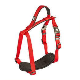 Duvo+ Explor North Hundegeschirr aus Nylon rot Größe S wasserfest – Bild 1 von 2