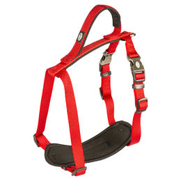Duvo+ Explor North Hundegeschirr aus Nylon wasserabweisend Rot Größe XL – Bild 1 von 2