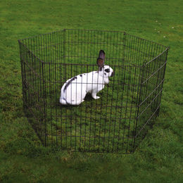 Duvo+ Freilaufgehege aus Metall für Kaninchen und Meerschweinchen Schwarz 60x60x58 cm - 6 x 60 cm – Bild 1 von 5