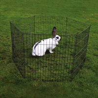 Produktbild von Duvo+ Freilaufgehege aus Metall für Kaninchen und Meerschweinchen Schwarz 60x60x58 cm - 6 x 60 cm
