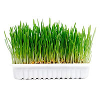 Produktbild von Duvo+ Futterpaket Gras und getrocknete Kräuter für Kaninchen und Nagetiere 70 g - 70 g