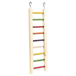 Produktbild von Duvo+ Holzleiter buntes Vogelspielzeug für Papageien 46 x 12,8 x 2 cm