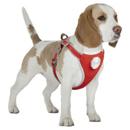 Produktbild von Duvo+ Hundegeschirr mit Leine Flashlight Rot Größe M