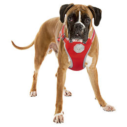 Duvo+ Hundegeschirr mit Rollleine Flashlight Rot Größe L – Bild 1 von 2