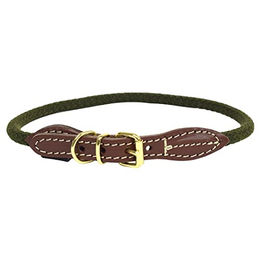 Produktbild von Duvo+ Hundehalsband aus Nylon in Grün Größe XL