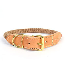 Produktbild von Duvo+ Hundehalsband aus Nylon in Taupe Größe L wasserfest