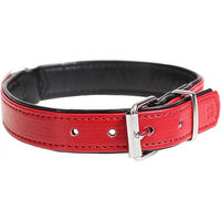 Produktbild von Duvo+ Hundehalsband Chic aus Kunstleder Rot 35-42 cm 19 mm