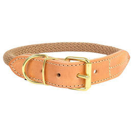 Produktbild von Duvo+ Hundehalsband Forest aus Nylon in Taupe Größe M