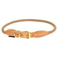 Produktbild von Duvo+ Hundehalsband Forest aus Nylon in Taupe Größe XL