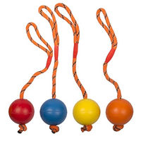 Produktbild von Duvo+ Hundespielzeug Gummiball mit Seil in Bunt 30 cm