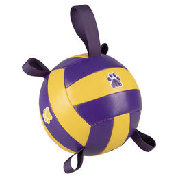 Duvo+ Hundespielzeug Volleyball aus Kunststoff in Bunt mit 18,5 cm Durchmesser – Bild 1 von 1