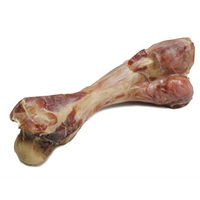 Produktbild von Duvo+ Italienischer Schinkenknochen Maxi für Hunde aus 100% Schweinefleisch ohne Farbstoffe und Aromastoffe