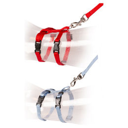 Duvo+ Kätzchen Spazier-Set mit Halsband und Leine Uni – Bild 1 von 3