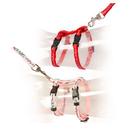 Duvo+ Kätzchen Spazierset Love mit Halsband und Leine in Rot/Rosa – Bild 1 von 2