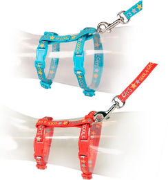 Duvo+ Katzen-Spazierset Cool Cats mit Halsband und Leine aus Nylon – Bild 1 von 2