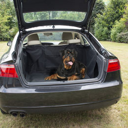 Duvo+ Kofferraum-Schutzdecke für Hunde aus wasserdichtem Oxford-Gewebe Schwarz 132x99x43cm – Bild 1 von 2