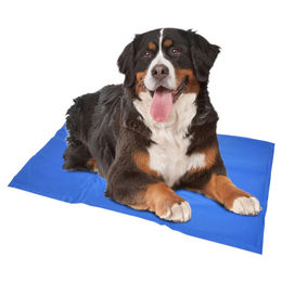 Duvo+ Kühlmatte für Hunde XXL 120x80 cm Blau aus Kunststoff für Riesenrassen - 120 cm – Bild 1 von 2