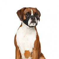 Produktbild von Duvo+ Maulkorb aus Nylon für Hunde mit kurzer Schnauze Größe L
