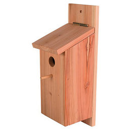 Duvo+ Meisenkasten aus Holz als Brutkasten-Bausatz in Braun und Natur - 1 Stk. – Bild 1 von 7