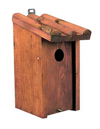 Duvo+ Meisenkasten aus Holz mit Schrägdach in Natur Braun – Bild 1 von 6
