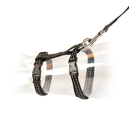 Duvo+ Reflektierendes Katzen-SpazierSet für große Katzen in Schwarz mit Halsband und Leine – Bild 1 von 5