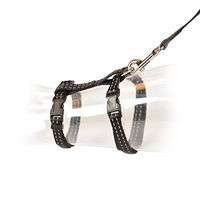 Produktbild von Duvo+ Reflektierendes Katzen-SpazierSet für große Katzen in Schwarz mit Halsband und Leine