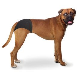 Duvo+ Schutzhose für Hunde Schwarz Größe L 40-49 cm – Bild 1 von 4